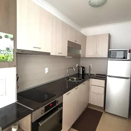 Apartman Of The Mountain гранд манастира частни